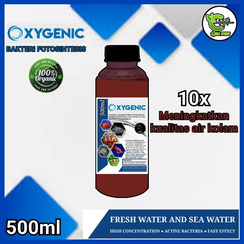 Oxygenic probiotik bakteri fotosintesis