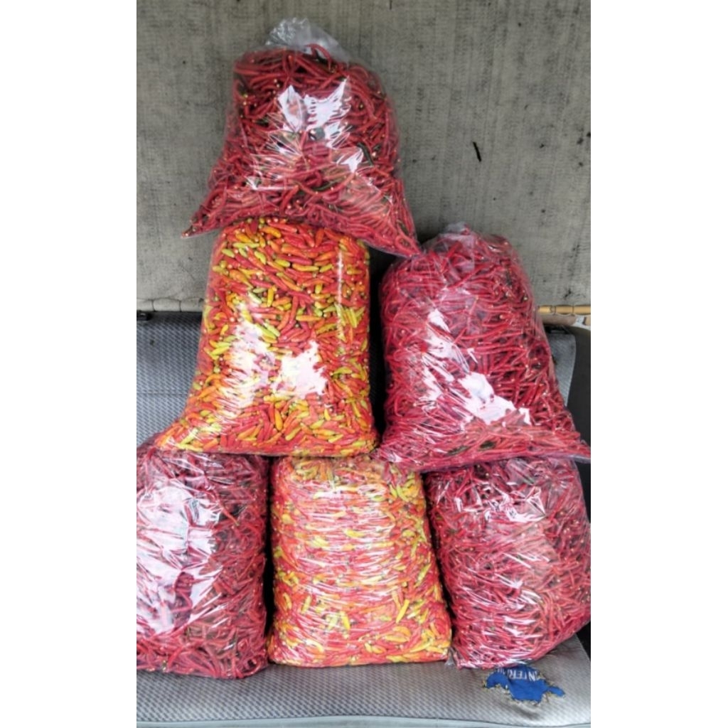 cabe merah petik / cabe caplak petik