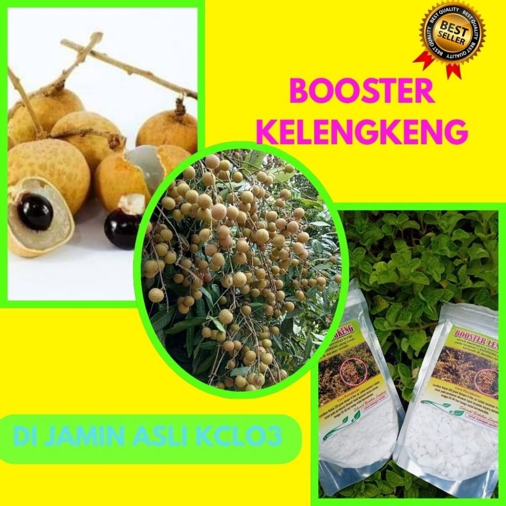 Booster Kelengkeng 1Kg