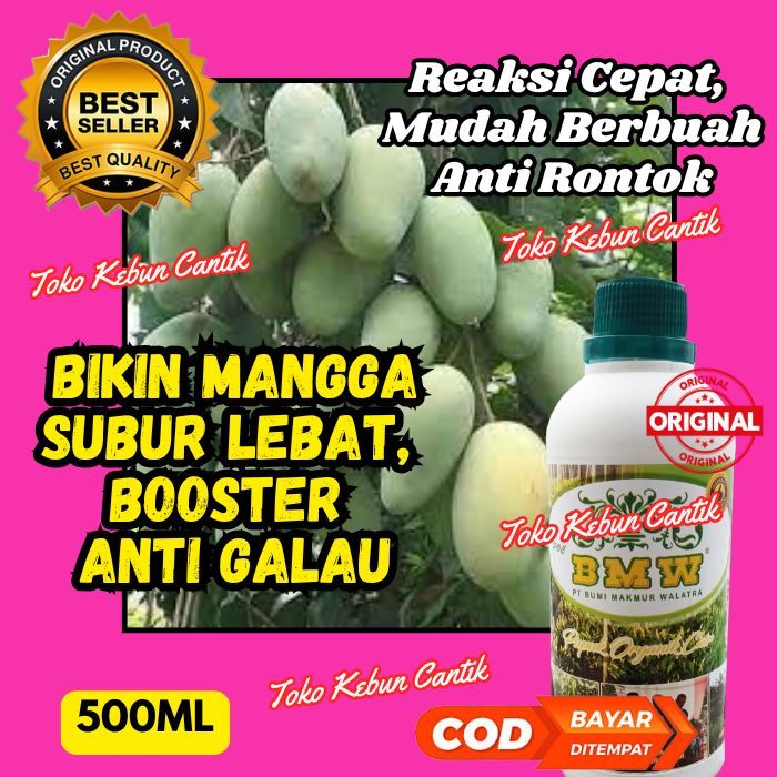 THE BEST Pupuk Mangga Organik Cair POC BMW 500ml Perangsang Buah Lebat, Meningkatkan Hasil Panen & K