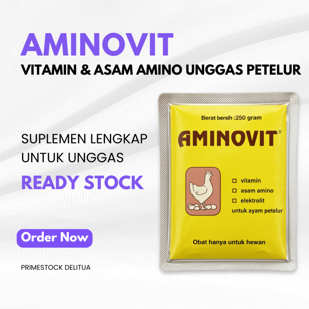 AMINOVIT 250 GRAM MEDION – Vitamin & Asam Amino Unggas Petelur