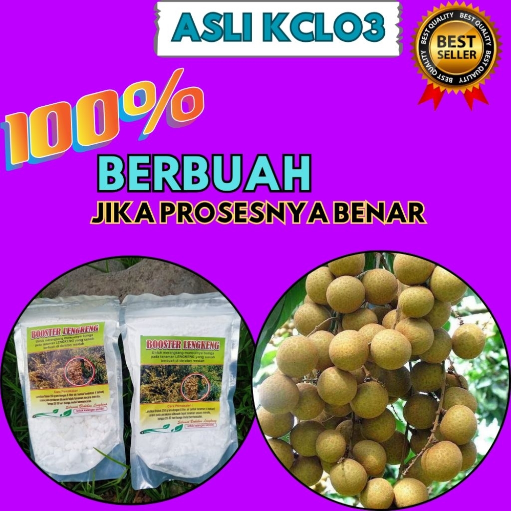 Boster Kelengkeng Terbaik, Boster Kelengkeng Terdekat, Boster Kelengkeng Untuk Mercon