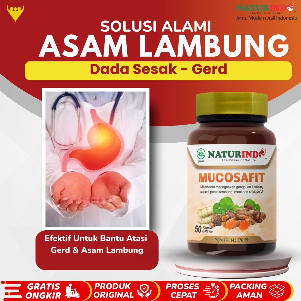 Mucosafit Herbal Obat Asam Lambung Kronis Gerd Obat Asam Lambung Gerd Bau Mulut Asam Lambung