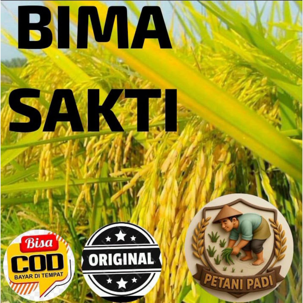 BENIH PADI BIMA SAKTI KEMASAN 5KG