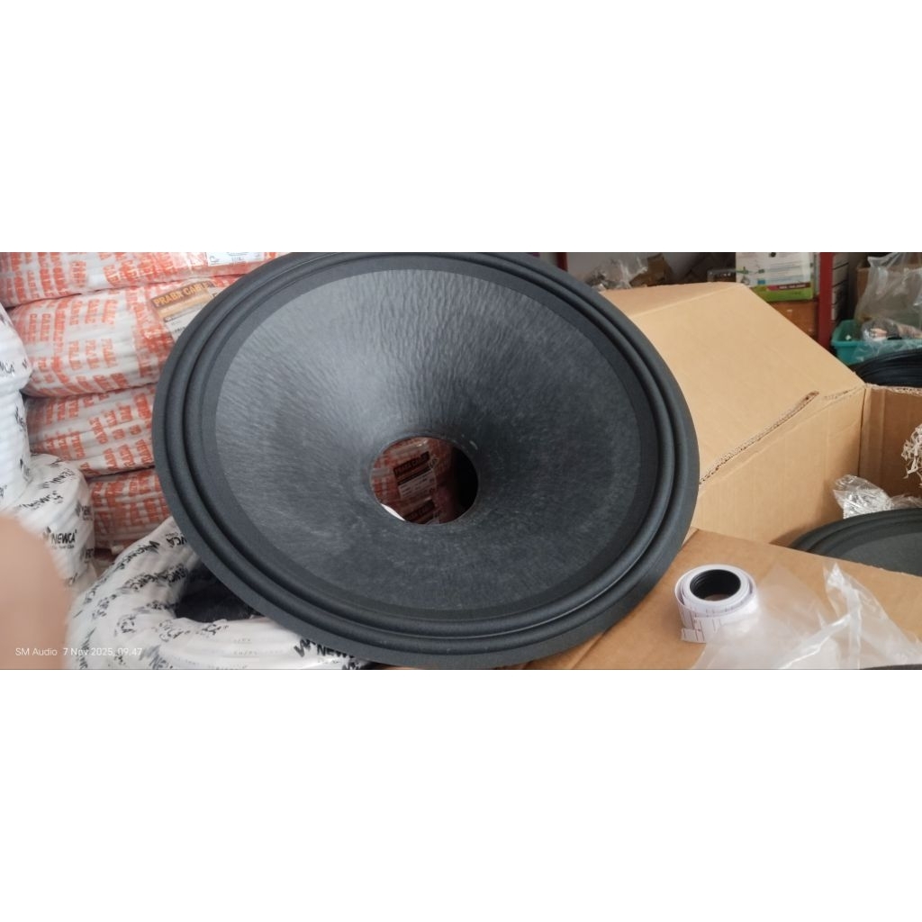 daun speaker wisdom 18" gp300