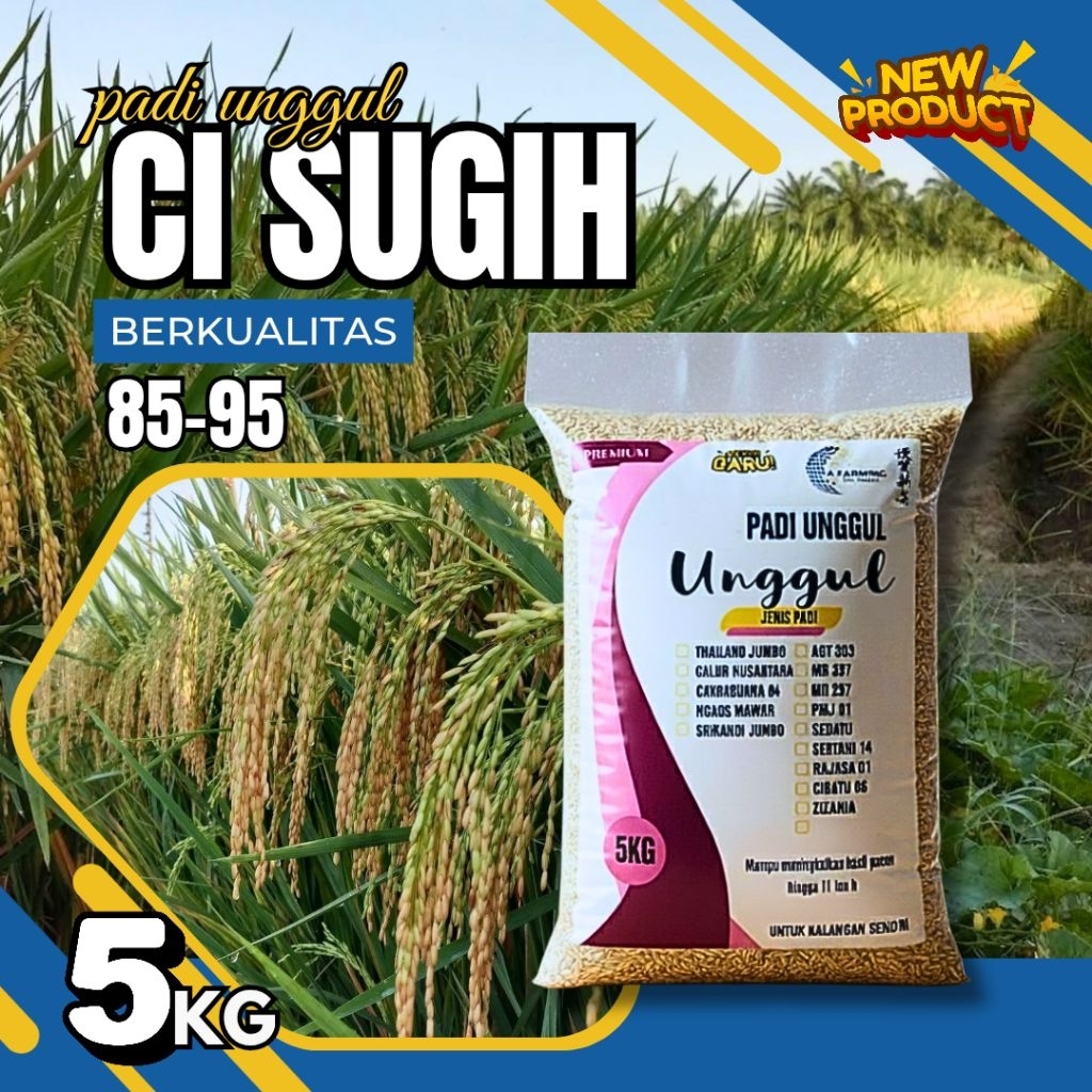 Benih padi unggul Ciherang sugih original 5kg