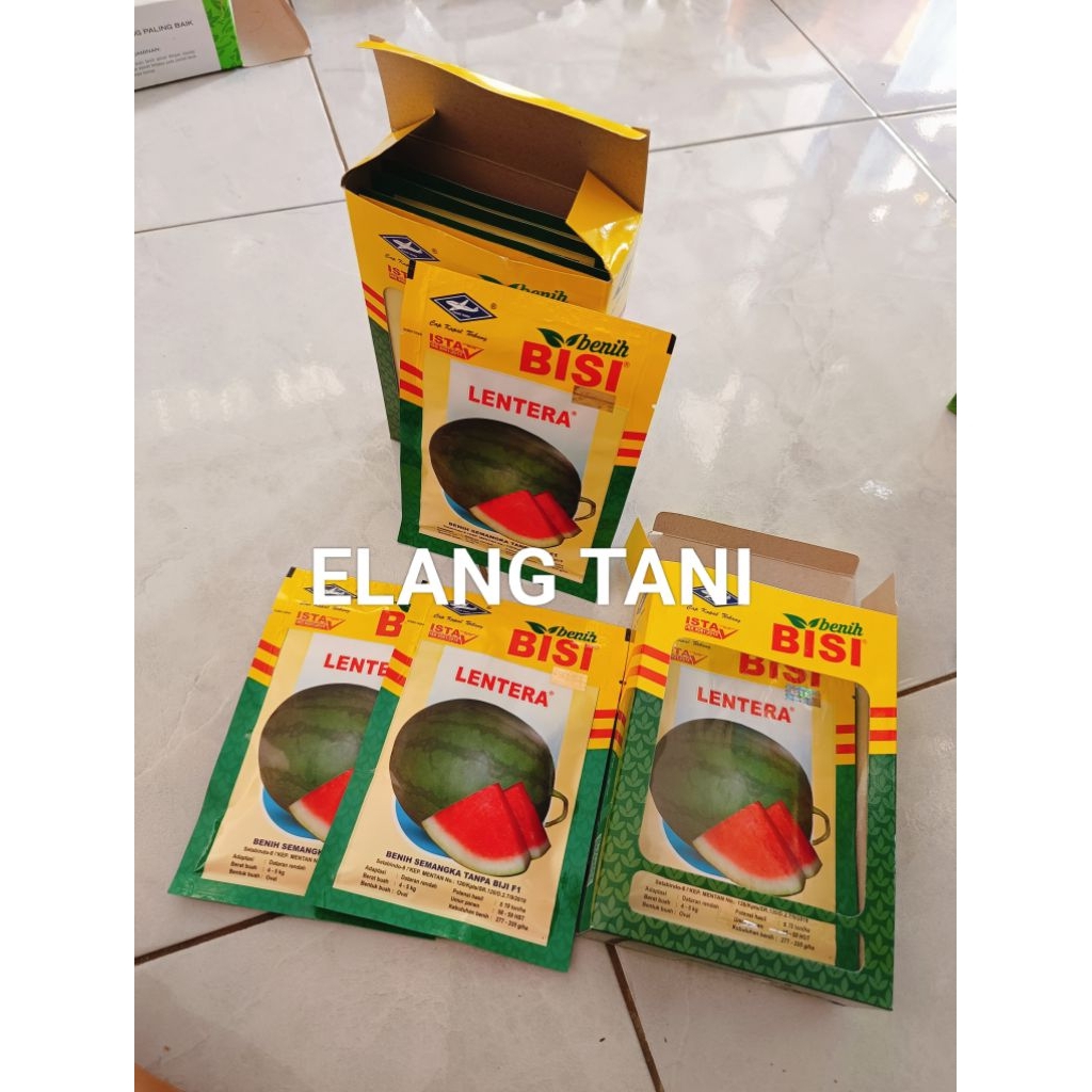 Benih Bibit Semangka Non Biji Lentera F1 (Tahan Cuaca Ekstrim Produksi Tinggi) Isi 20 Gram Kadaluars