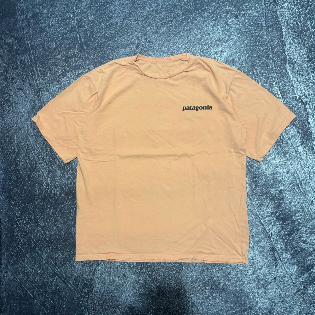 TSHIRT PATAGONIA SECOND