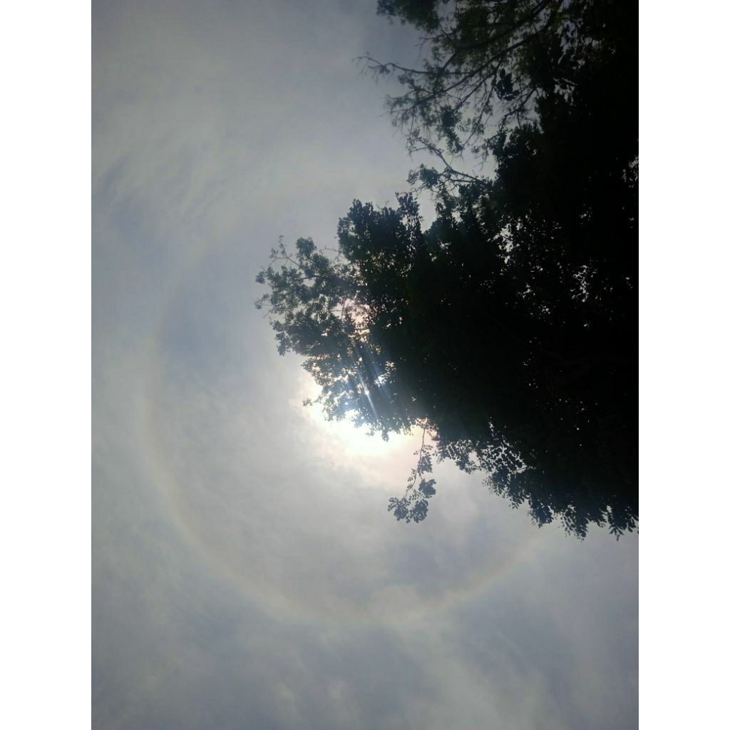 celana panjang wanita hijau botol