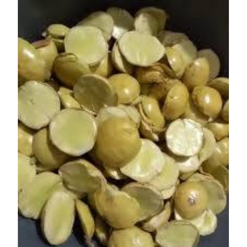 JENGKOL TUA .JENGKOl KUPAS 1 KG