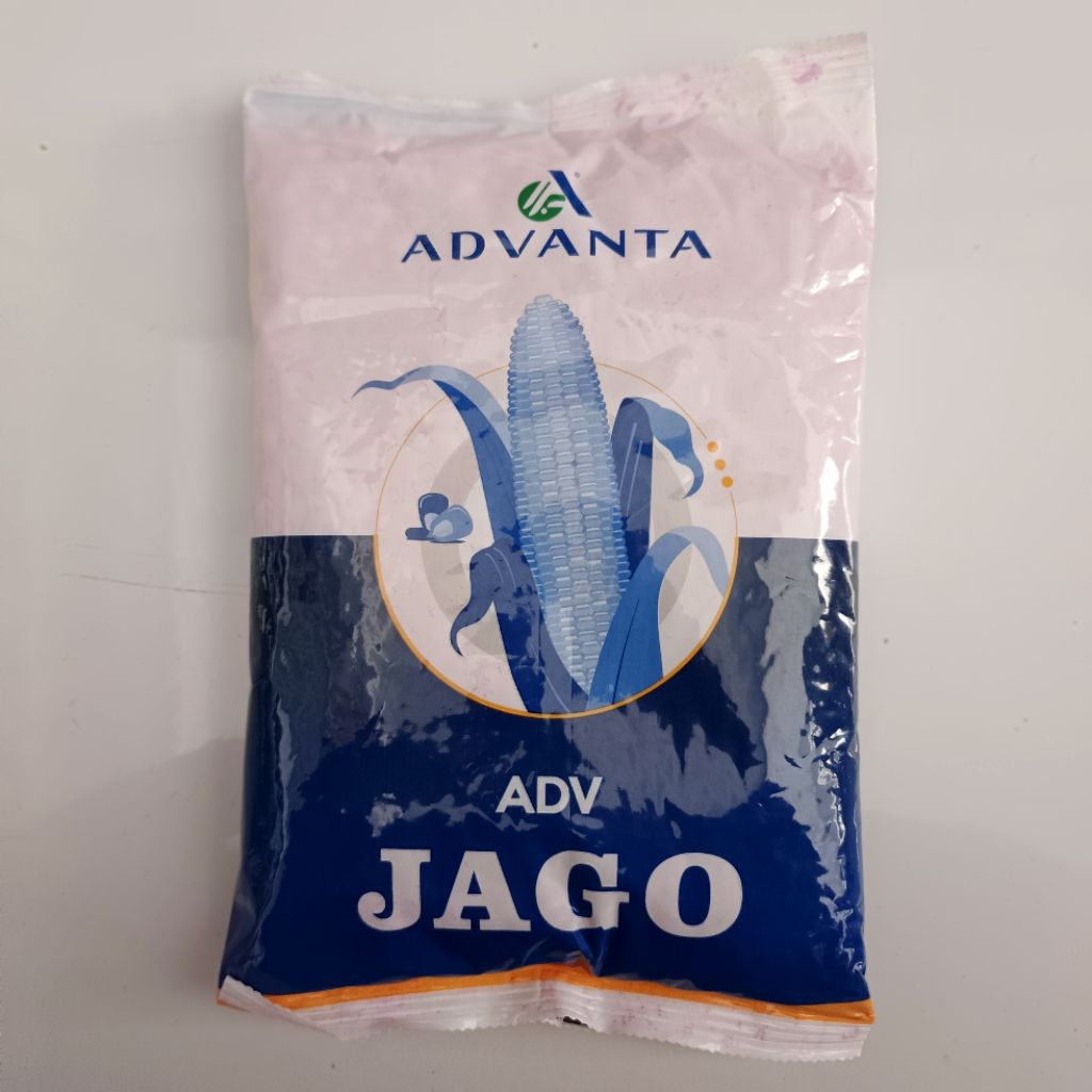 Benih jagung Advanta jago Adv jago 1KG Benih jagung Hibrida