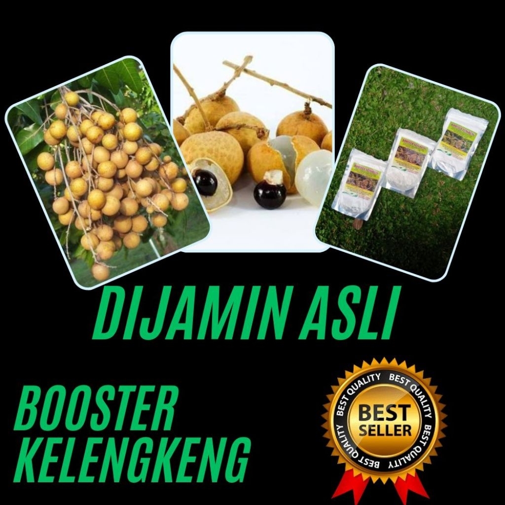 Booster Kelengkeng Terbaik, Booster Kelengkeng Terdekat