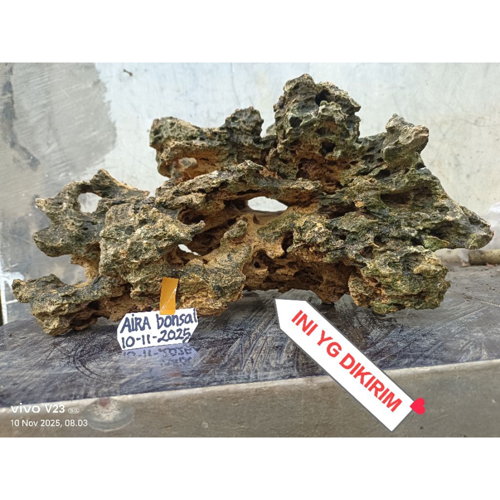 pot batu avatar untuk bonsai