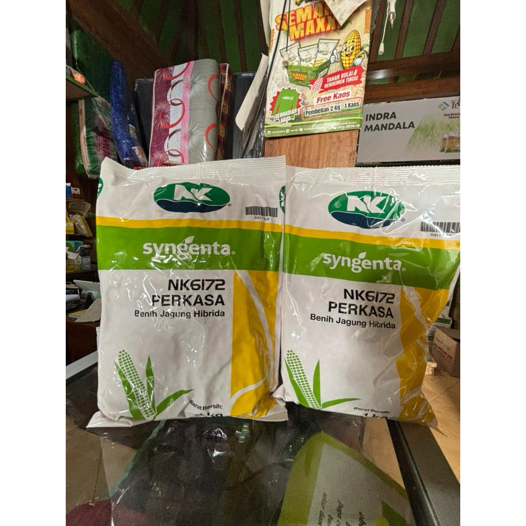 Benih JAGUNG HIBRIDA NK 6172 PERKASA 1 KG #bibit jagung # jagung perkasa#bibit nk perkasa