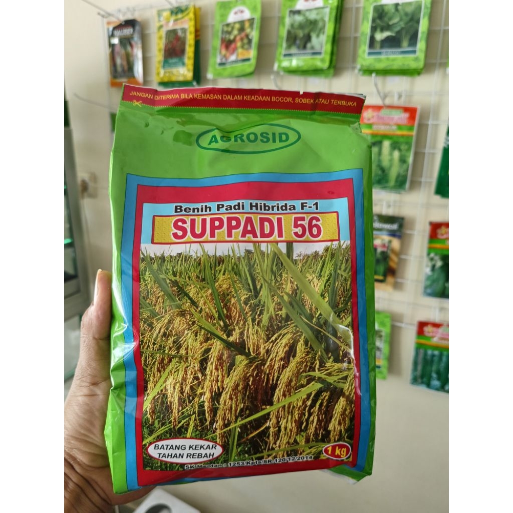 Benih SUPPADI 56 Padi Hibrida 1 kg 100% ORIGINAL Exp 2026