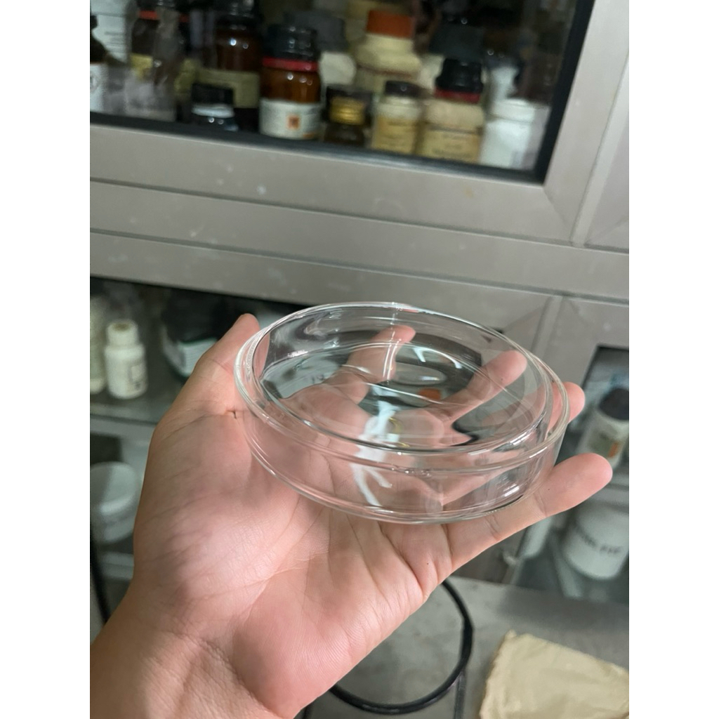 cawan petri, petridish, petri dish