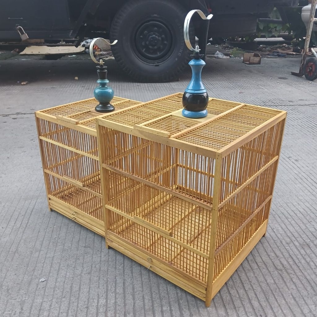 SANGKAR KANDANG PENJINAK BURUNG WAMBI