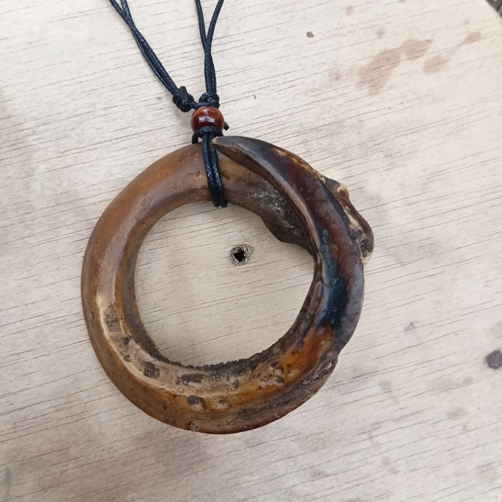 melingkar taring ngurak kalung/koleksi