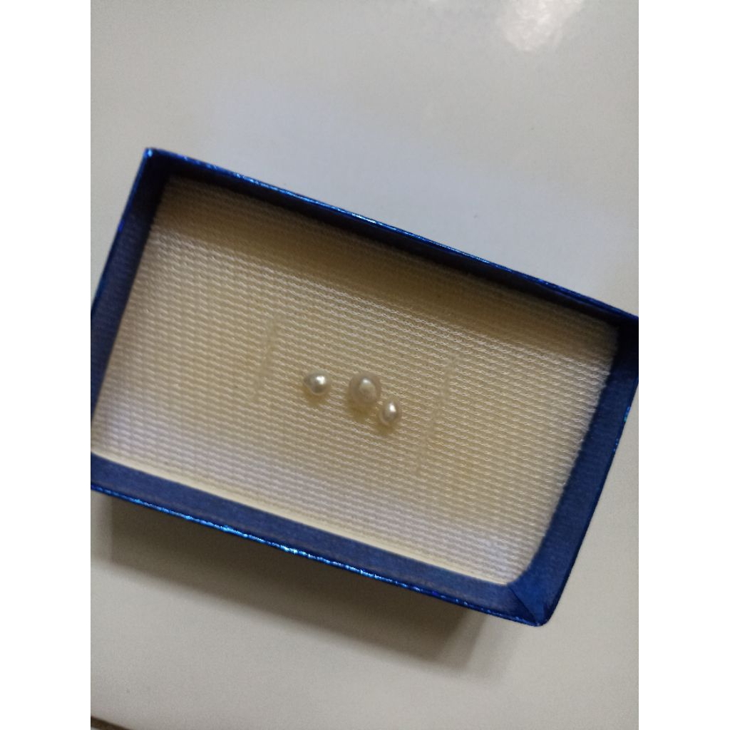 Mutiara Air Laut Asli Kepulauan Maluku