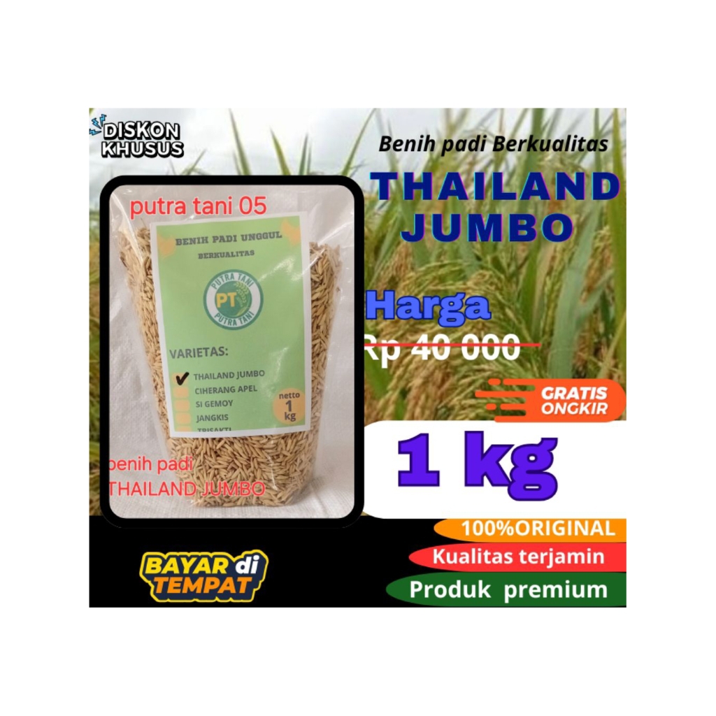 benih padi unggul THAILAND JUMBO 1kg benih padi premium