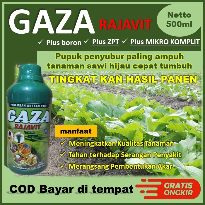 GAZA RAJAVIT 500ML - Pupuk Cair Penyubur Tanaman Sawi Hijau - Pupuk Paling Bagus Tanaman Sawi - Tana