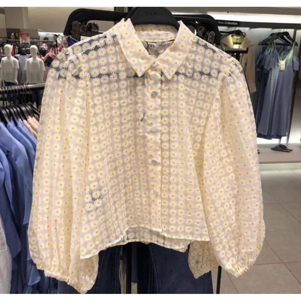 zara sheer daisy embroidered balloon blouse size xs