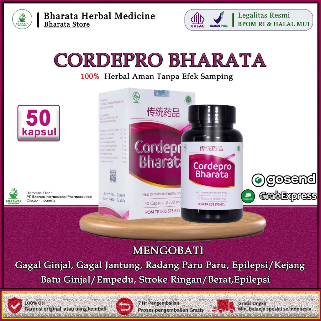 CORDEPRO BHARATA - Obat Batu Ginjal - Obat Gagal Ginjal - Radang Paru Paru