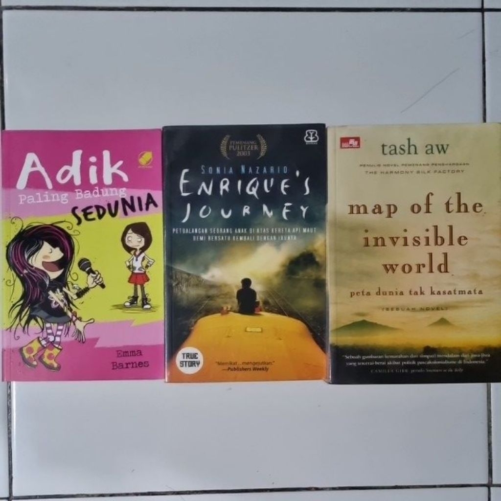 Aneka Novel Preloved Original Terjemahan | Enrique's Journey by Sonia Nazario | The Map of the Invin