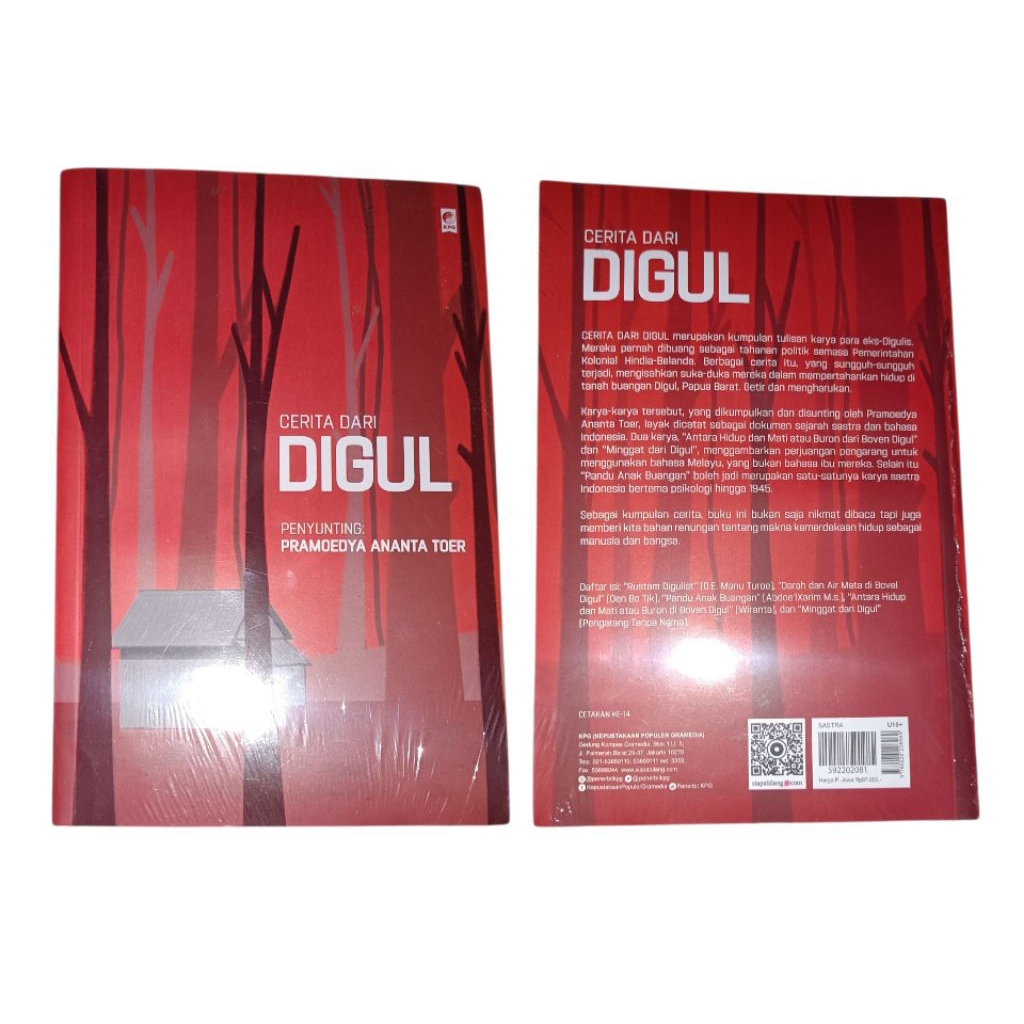 preloved novel cerita dari DIGUL ORIGINAL SEALED