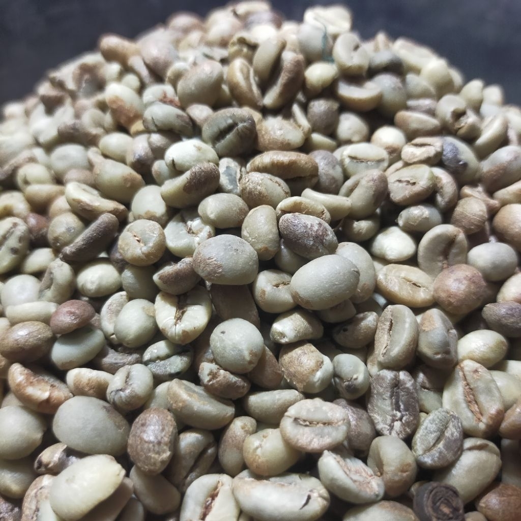 Kopi mentah Kopi Kretek Super Kopi Robusta Kopi Jember 1 kg