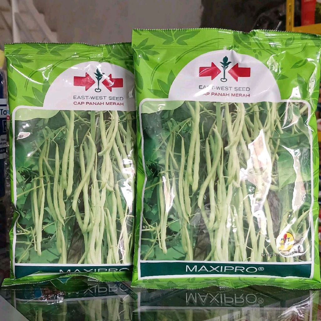 MAXIPRO BUNCIS 500GR (BENIH)