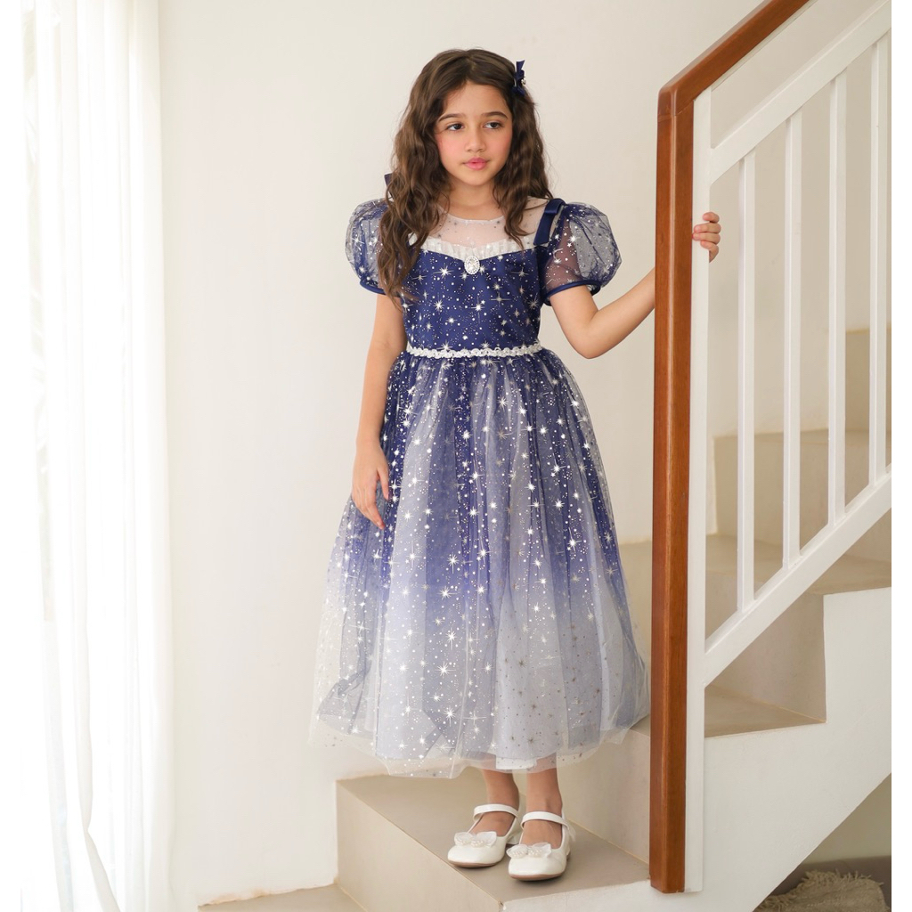 Balloon - Winter Navy Princess Elsa Dress