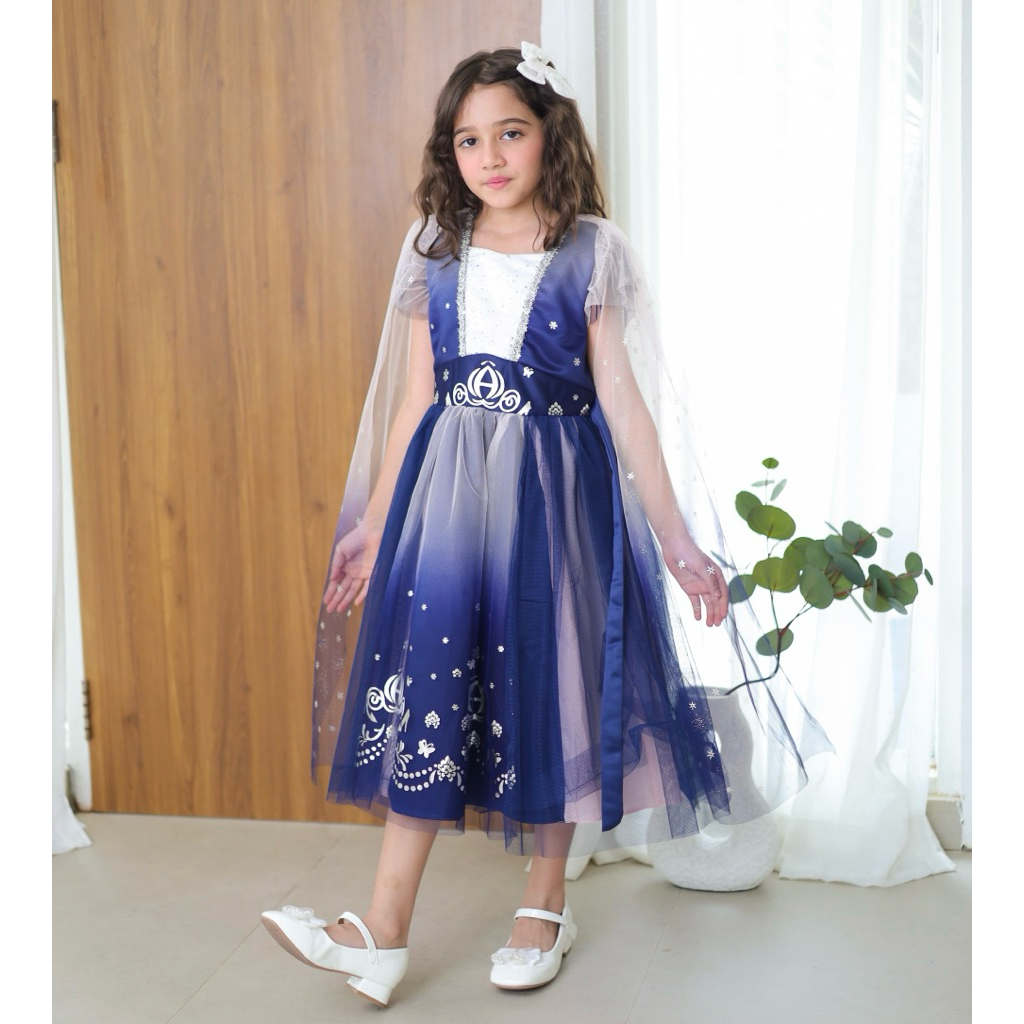 Balloon - Navy Pink Princess Cinder Ella Dress