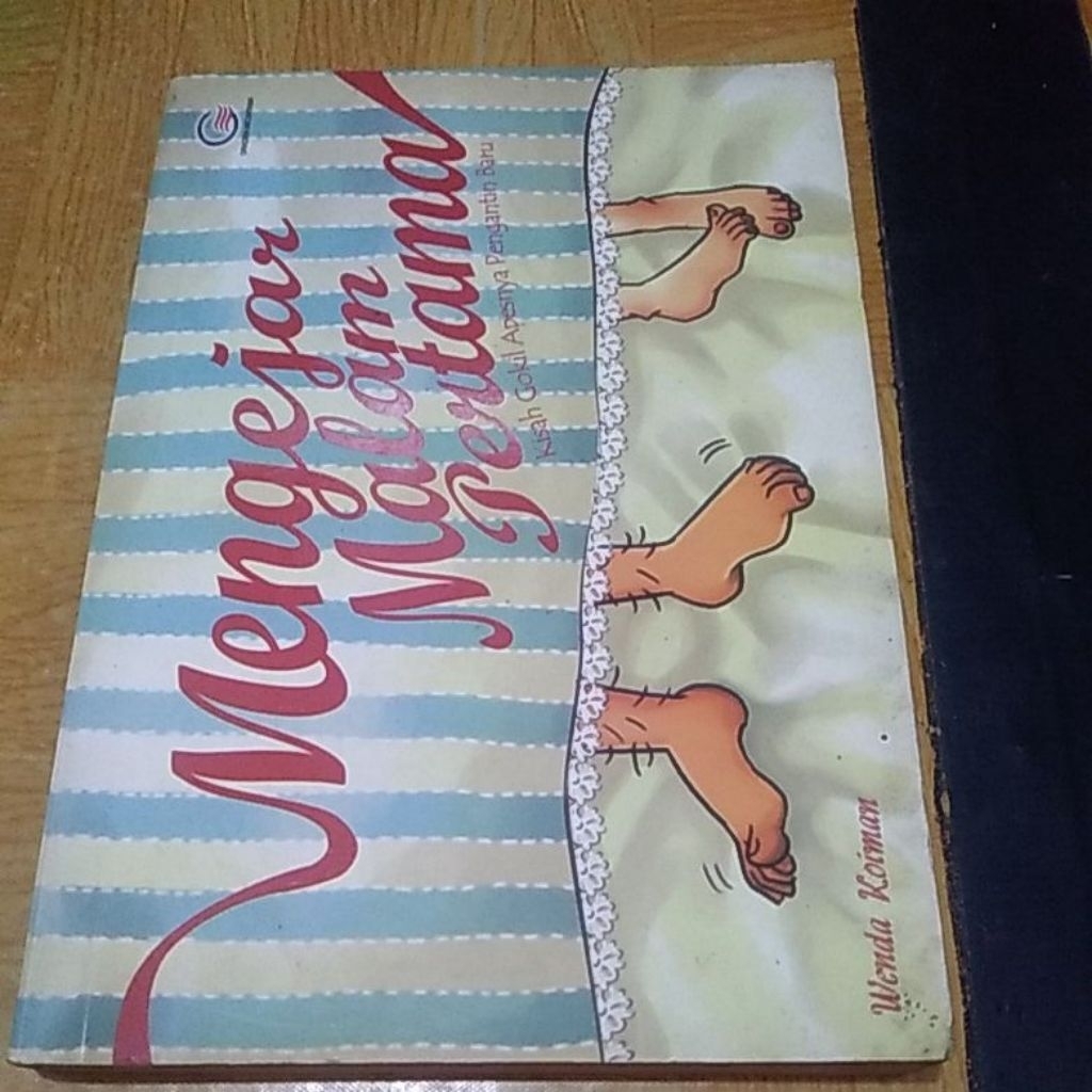 NOVEL MENGEJAR MALAM PERTAMA,KISAH GOKIL APESNYA PENGANTIN BARU