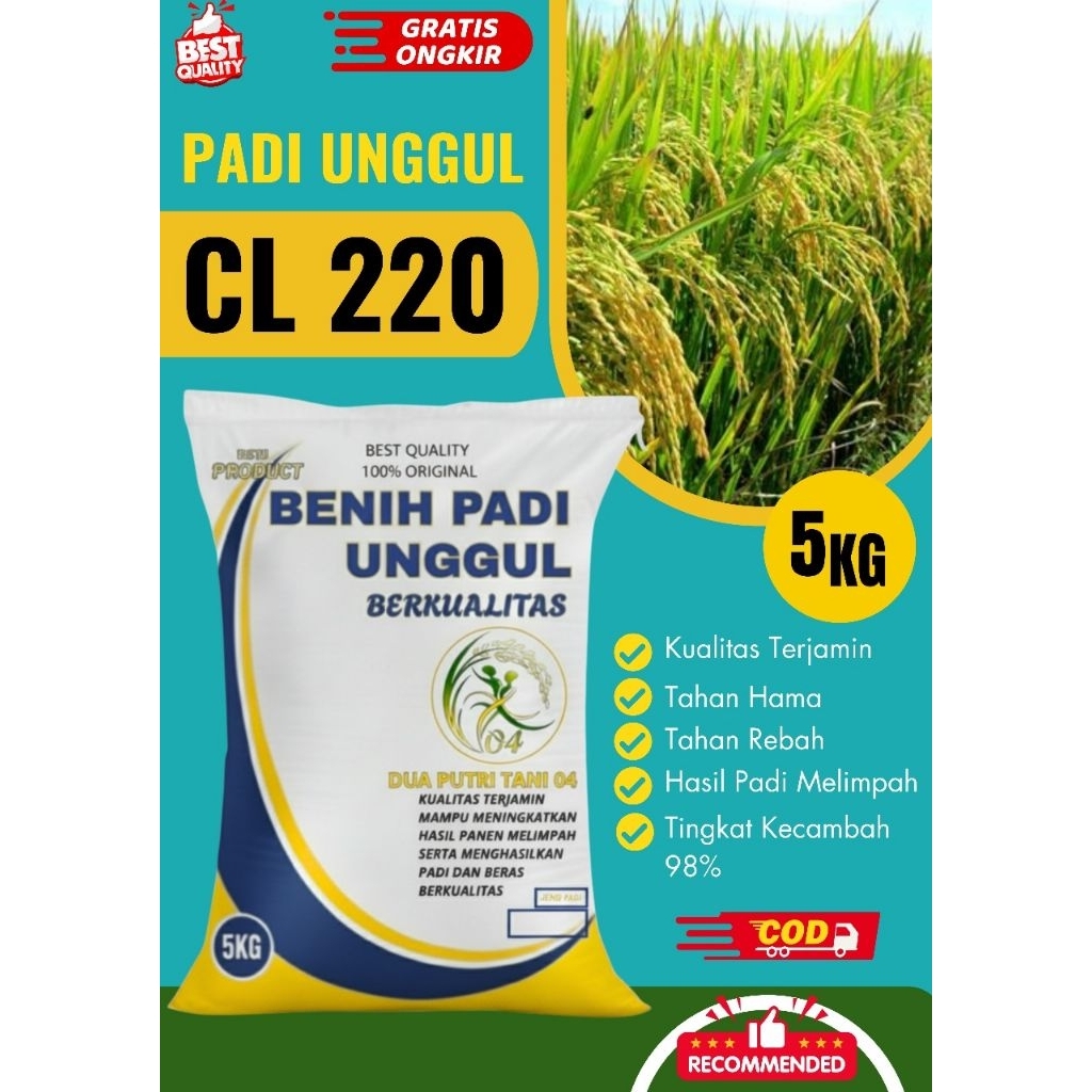 Benih padi unggul CL 220 kemasan 5Kg