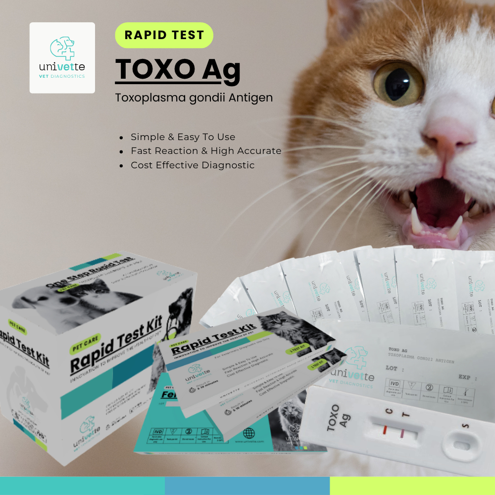 TOXO Antigen Rapid test kit/Toxoplasma gondii Antigen/Rapid Test Kucing-anjing/Feline Canine Rapid T