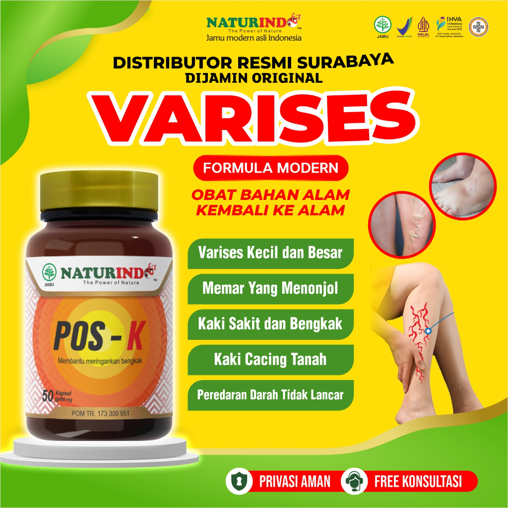 Obat Herbal Varises Parises Farises Di Kaki Paling Ampuh Original  Naturindo