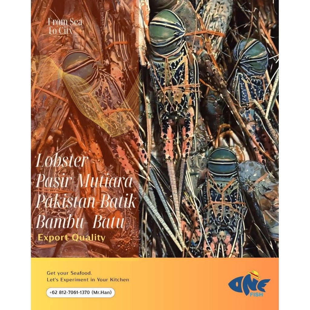 Lobster laut fresh frozen 1kg isi 6-8, 3-4 1kg kualitas ekspor