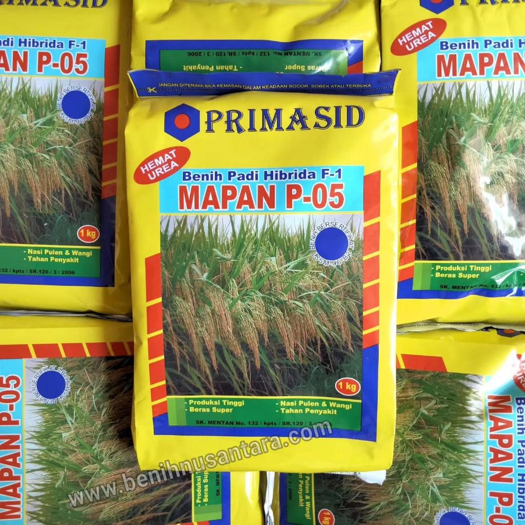 PROMO HEMAT  Benih padi hibrida mapan p-05 - 1 kg original bibit padi mapan