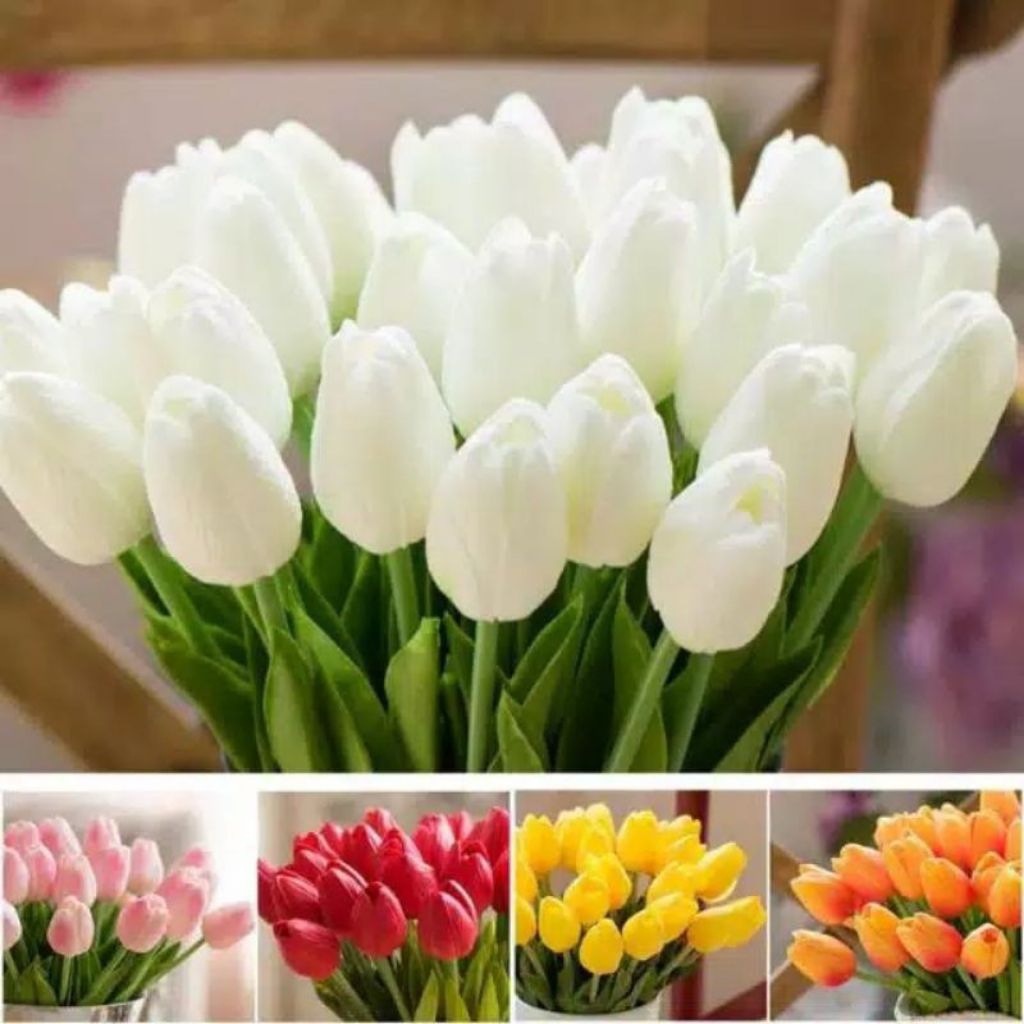 paket 5 bunga tulip bentuk umbi - isi 5pcs bunga tulip bentuk umbi sedang