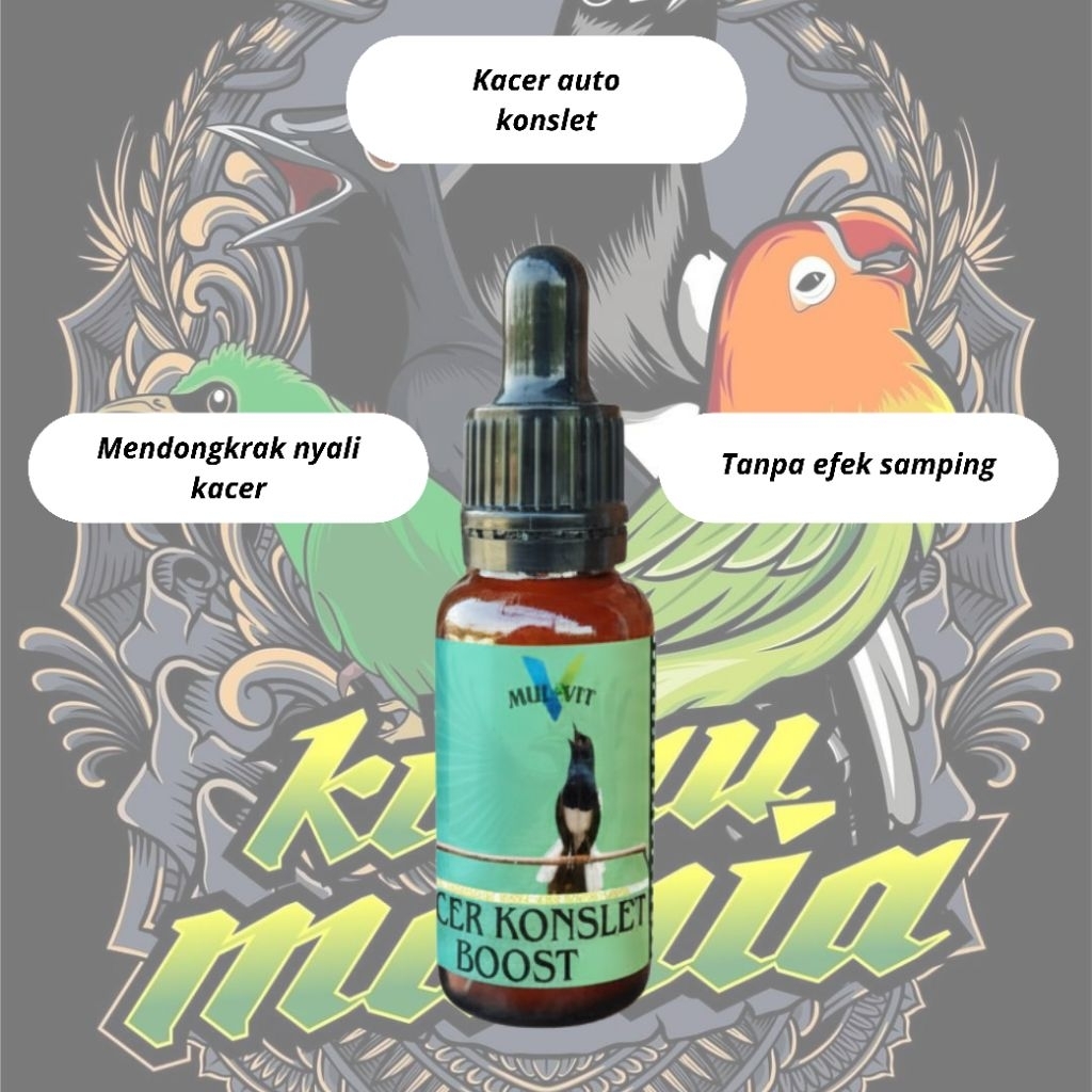 VITAMIN BURUNG KACER KONSLET BOOST KACER AUTO KONSLET