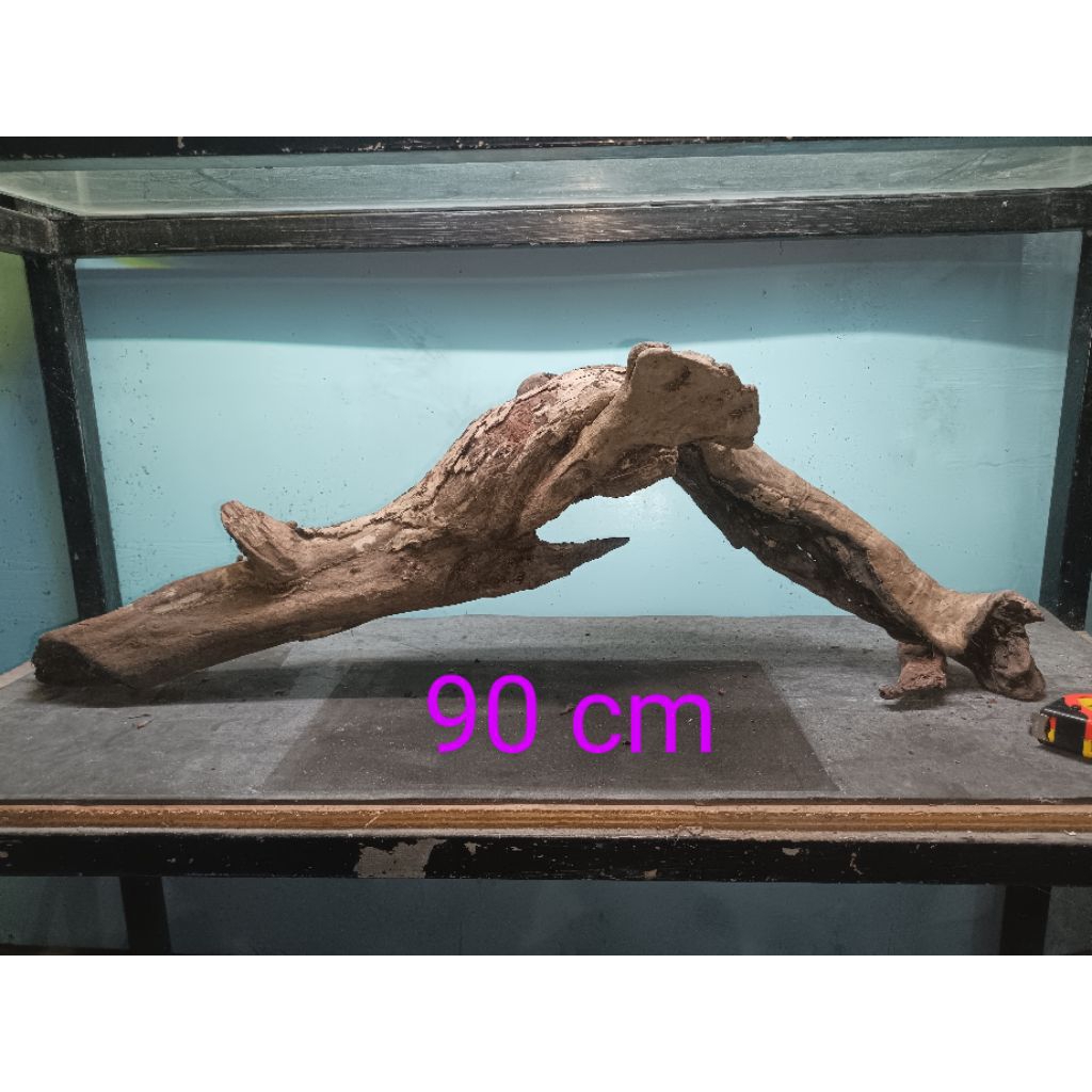 Kayu Santigi kayu tenggelam