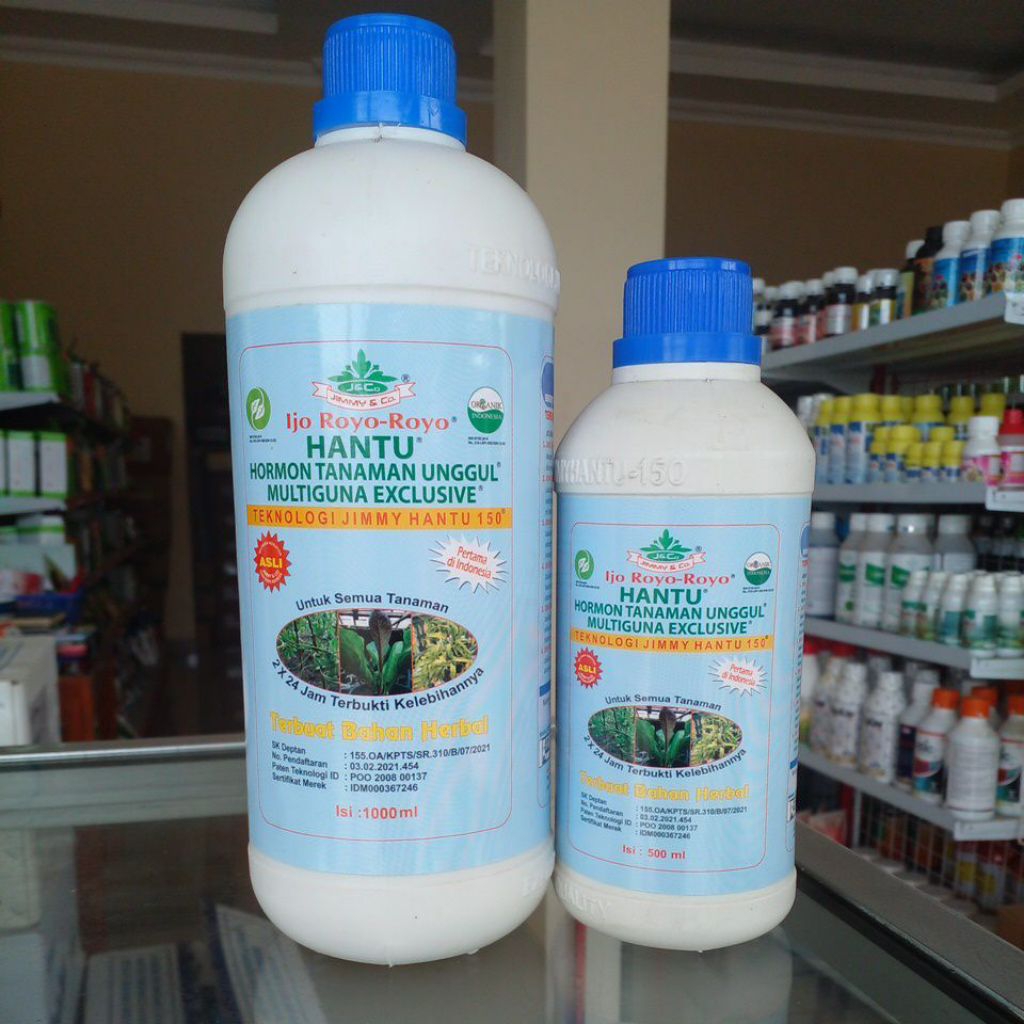 JIMMY HANTU PERTUMBUHAN