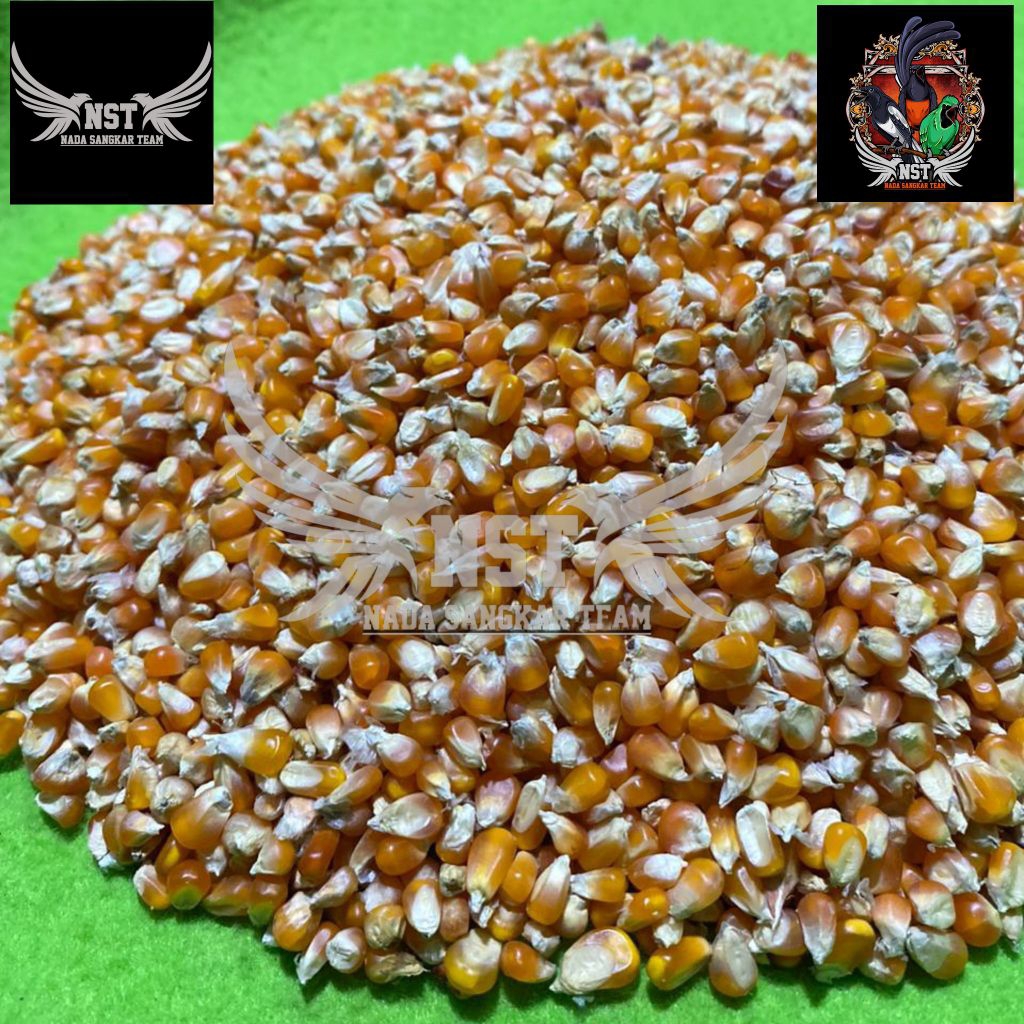 JAGUNG KRISTAL PROBOLINGGO MERPATI HOLIC PAKAN BURUNG / AYAM