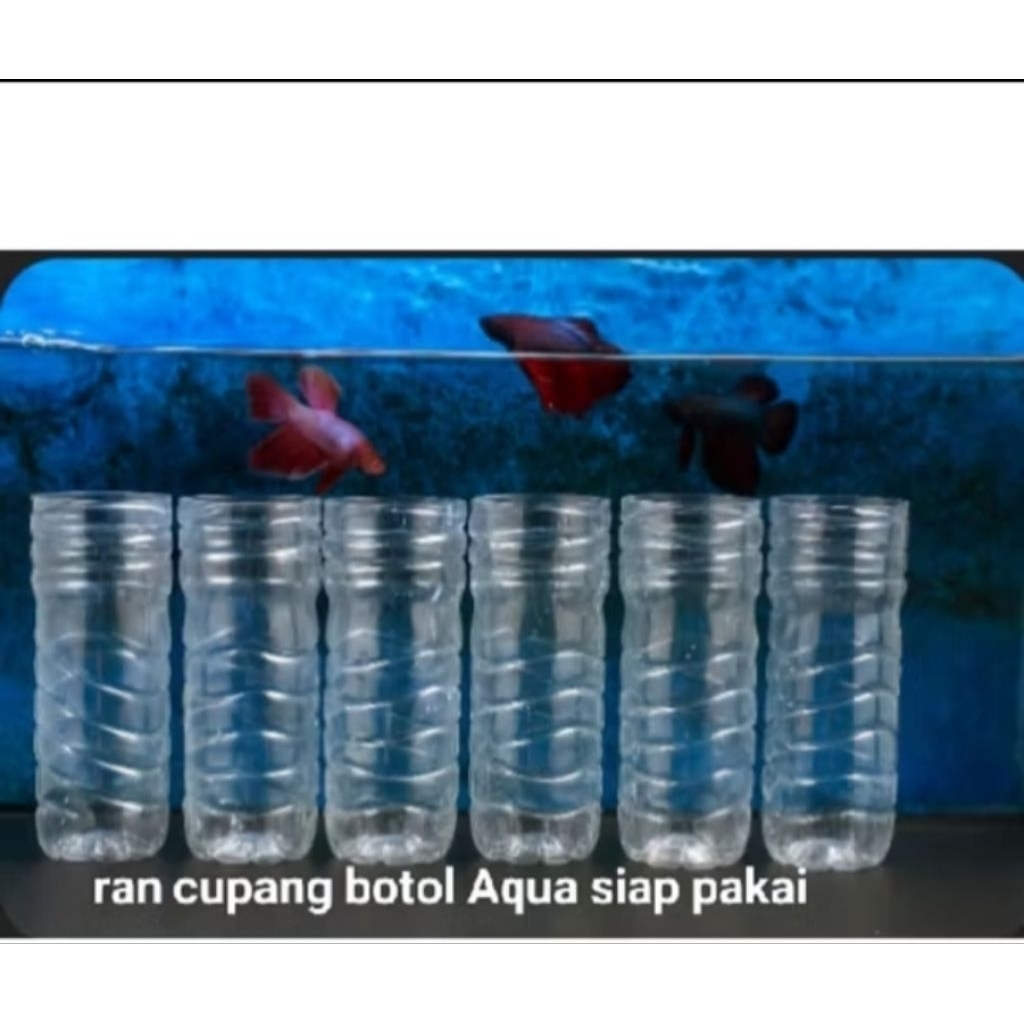 run botol aqua untuk cupang 6 biji