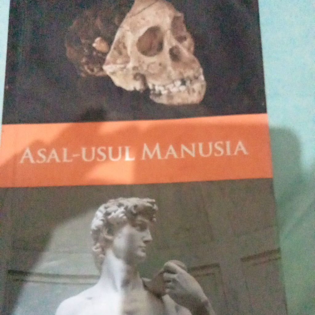 asal usul manusia