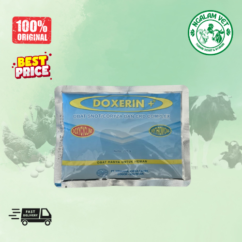 Doxerin Plus 100 Gram Obat Ngorok Snot CRD Komplek Ayam Broiler Layer Bebek Puyuh dan Unggas Lainnya