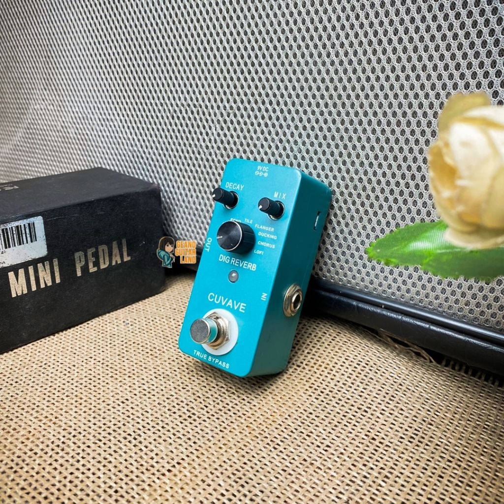 Cuvave Dig Reverb Multi Digital Reverb