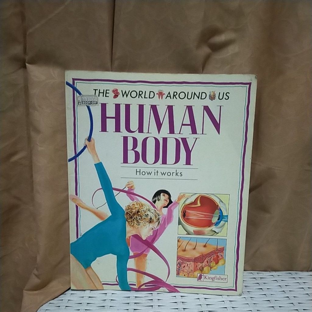 THE WORLD AROUND US HUMAN BODY HOW IT WORKS