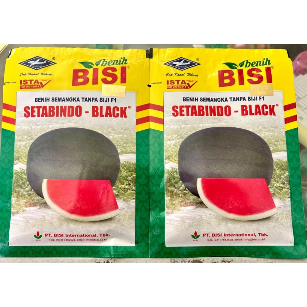 Benih Semangka SETABINDO BLACK 20 gram - Benih semangka tanpa Biji Cap Kapal Terbang